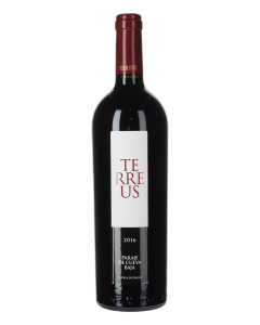 Mauro Terreus Paraje de Cueva Baja 2016