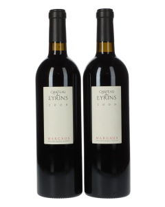 Chateau des Eyrins 2009 (2 Fl.)