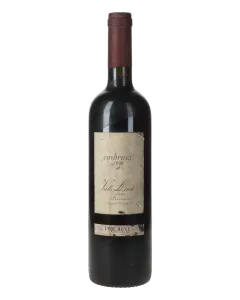 Cellar Vall Llach Embruix 1998