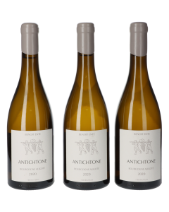Domaine Benoit Ente Bourgogne Aligote Antichtone 2020 (3 Fl.)