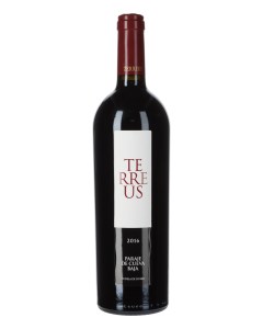 Mauro Terreus Paraje de Cueva Baja 2016