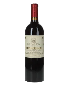 Cepparello Isole e Olena 2013 