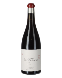 Descendientes de Jose Palacios La Faraona 2015