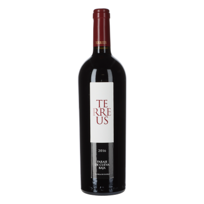 Mauro Terreus Paraje de Cueva Baja 2016