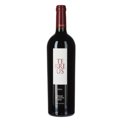 Mauro Terreus Paraje de Cueva Baja 2016
