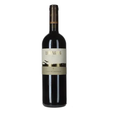 Alois Lageder Tenutae Löwengang Cabernet 2012 
