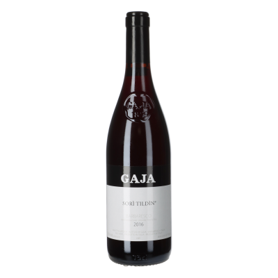 Gaja Sori Tildin 2016