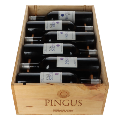 Dominio de Pingus 1995 12er Holzkiste