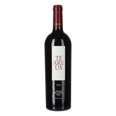 Mauro Terreus Paraje de Cueva Baja 2016