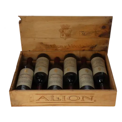 Vega Sicilia Alion Tempranillo 2004 in 6er OHK
