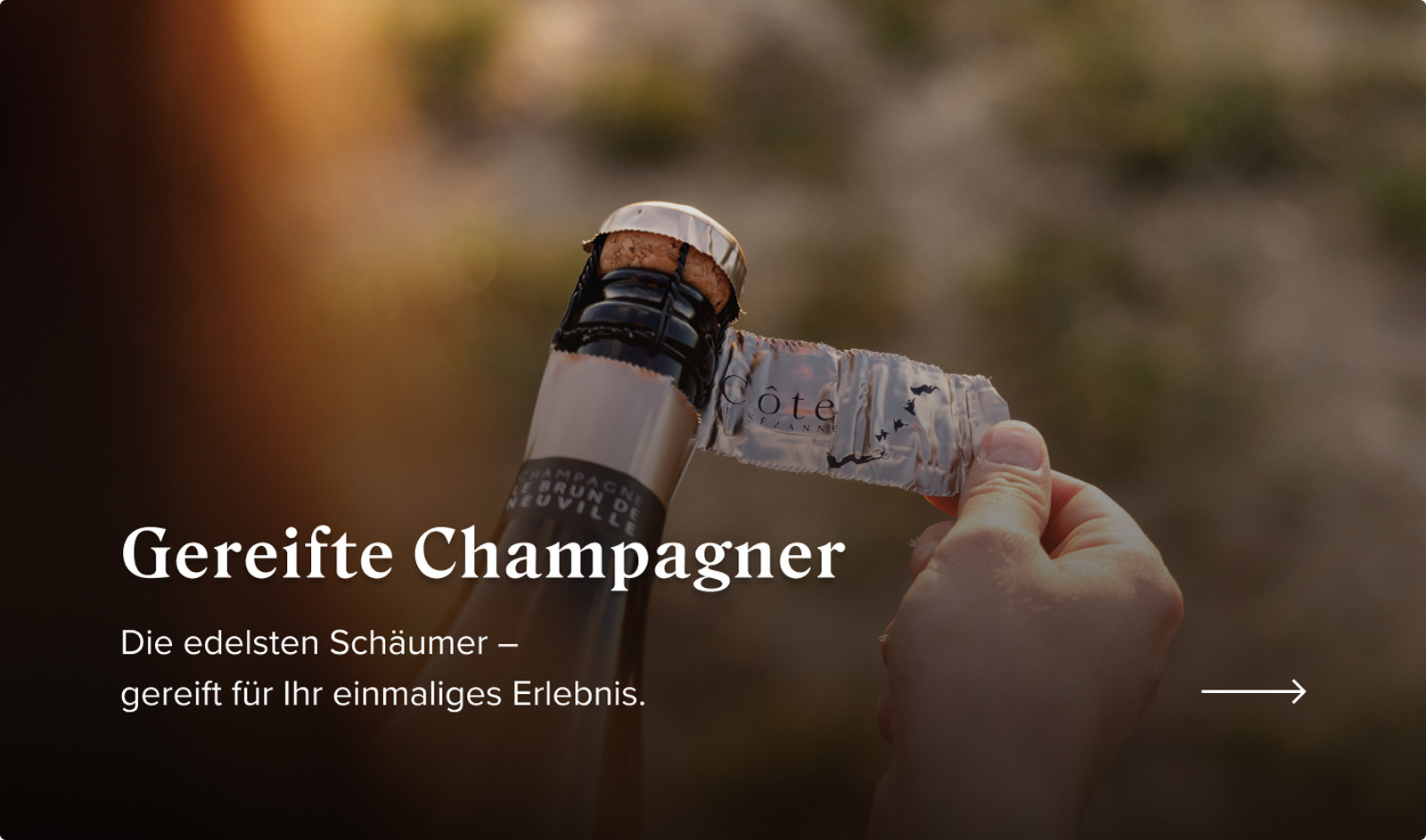 Banner: Gereifte Champagner