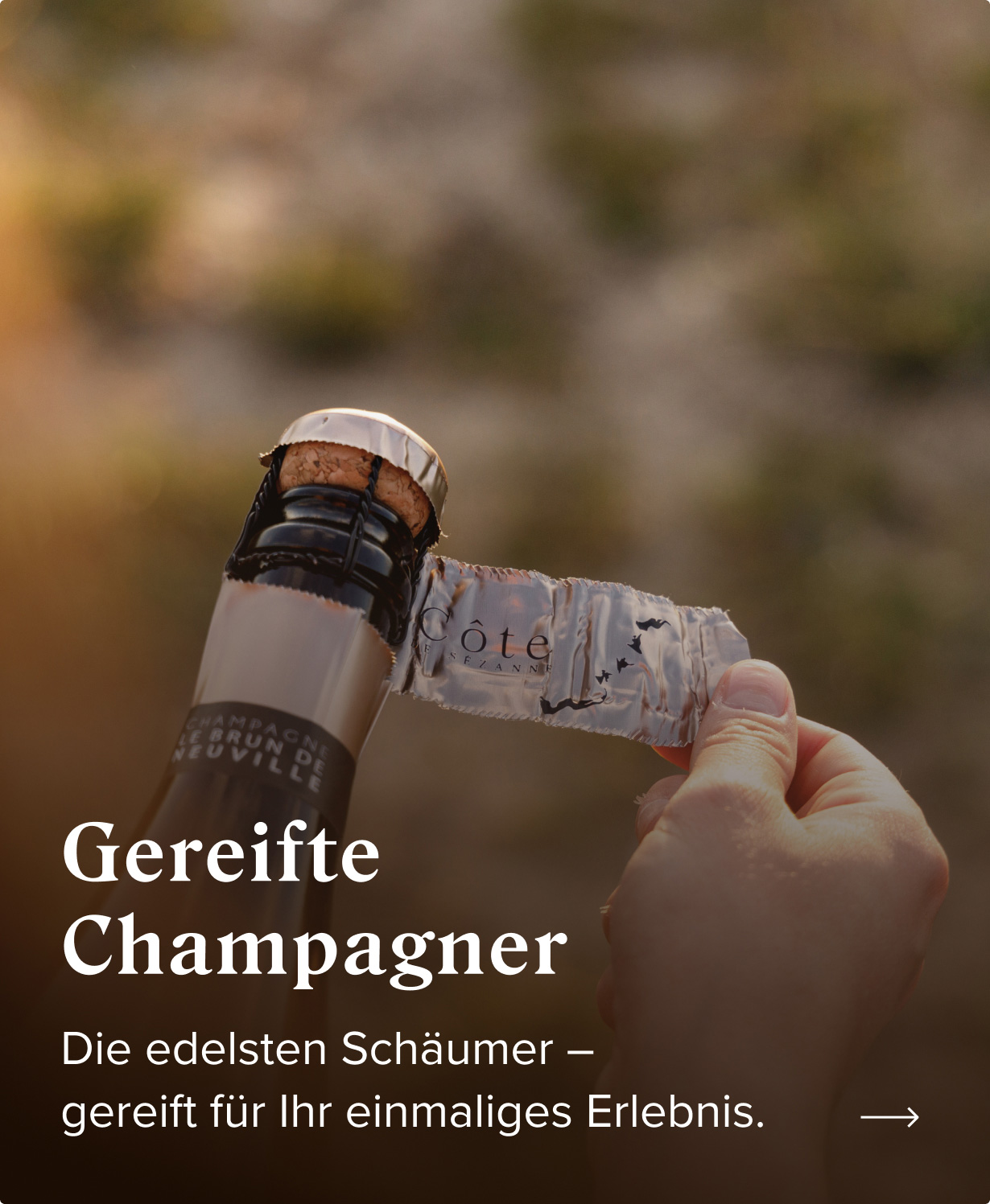 Banner: Gereifte Champagner